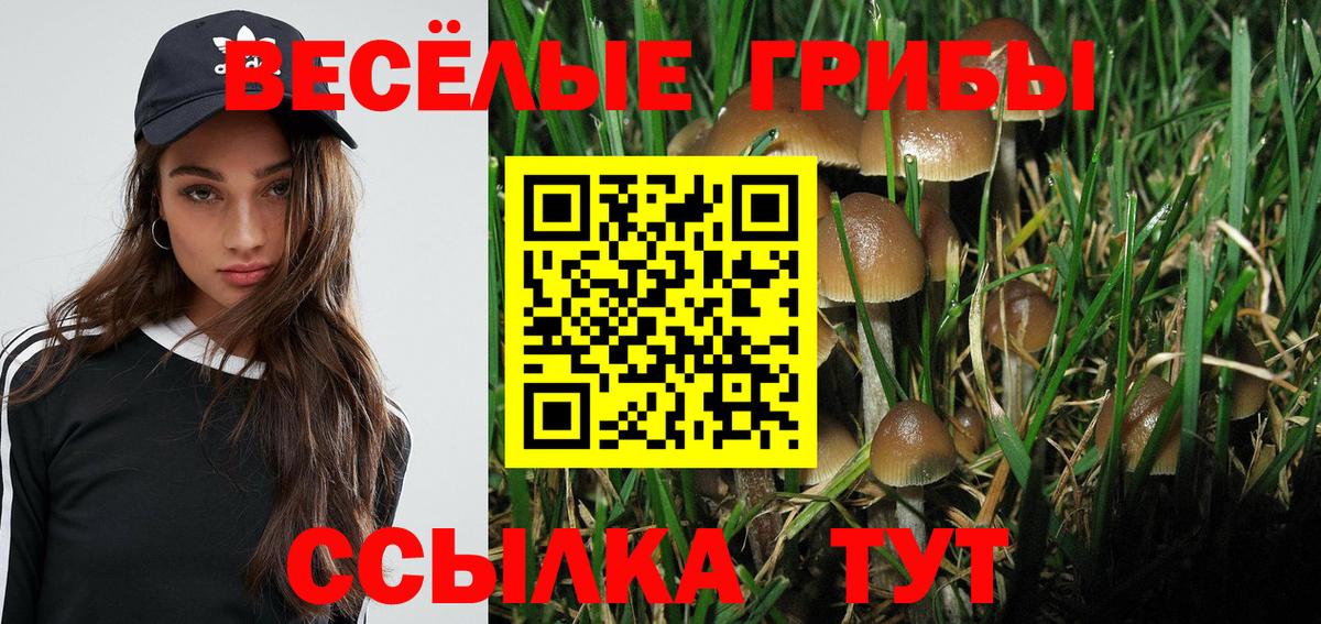 Волгодонск  Галлюциногенные грибы мухоморы  Вход с VPN 
