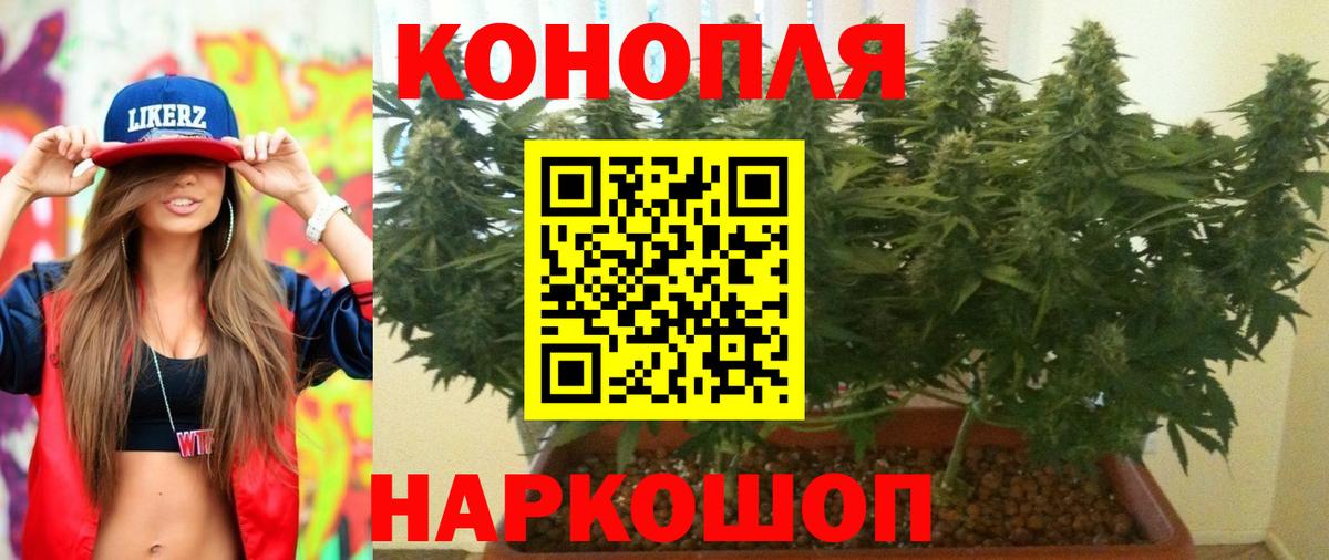 Конопля AK-47  Вход с VPN  Шишки марихуана LSD WEED  Марихуана Bruce Banner  Волгодонск  Марихуана план 